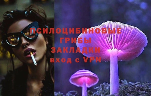 трава Абинск